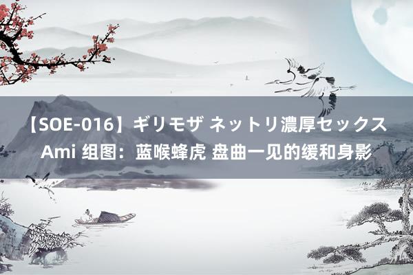 【SOE-016】ギリモザ ネットリ濃厚セックス Ami 组图：蓝喉蜂虎 盘曲一见的缓和身影