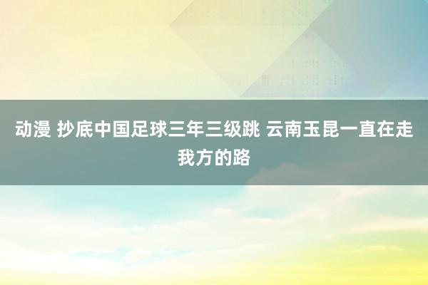 动漫 抄底中国足球三年三级跳 云南玉昆一直在走我方的路