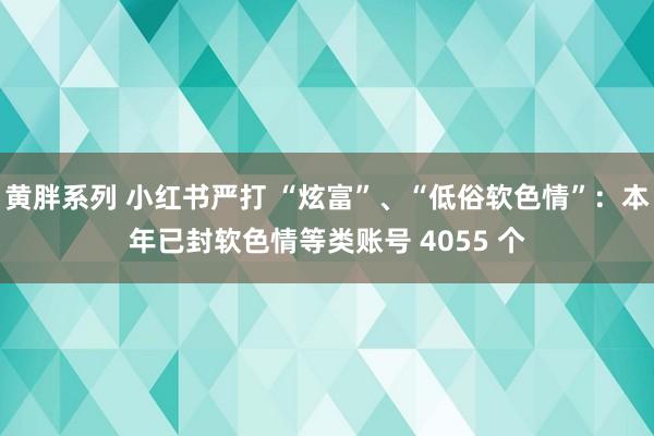黄胖系列 小红书严打 “炫富”、“低俗软色情”：本年已封软色情等类账号 4055 个