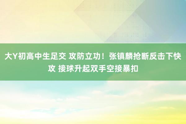 大Y初高中生足交 攻防立功！张镇麟抢断反击下快攻 接球升起双手空接暴扣
